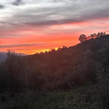 Ξενοδοχείο Alcmaria With Amazing Views At Zevariclub! *